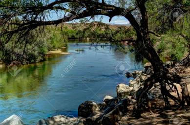 Desert River Framed by Tree
