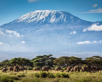Kilamanjaro